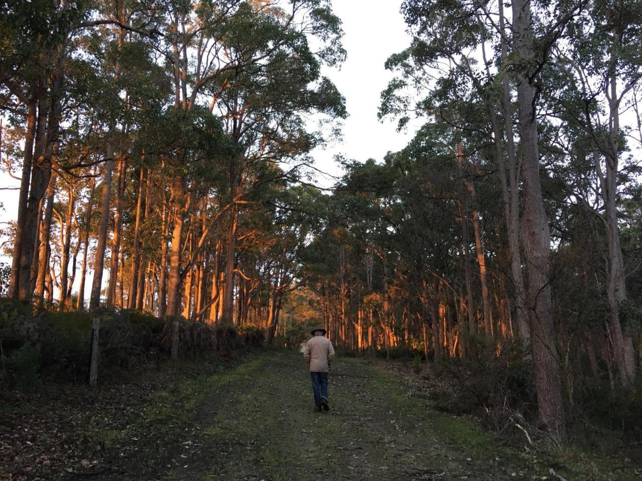 Margaret River Farmhouse Rosa Glen 外观 照片